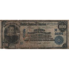100 Dollars Large-Size National Bank Note