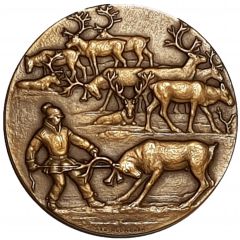 Motif from Lapland