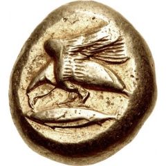 Stater