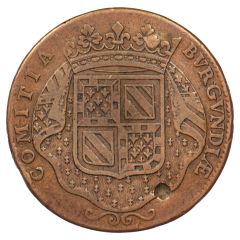 États de Bourgogne La Bourgogne soutenue par les princes de Condé