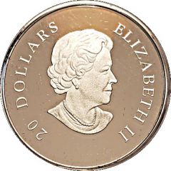 20 Dollars - Elizabeth II Pink Crystal Snowflake