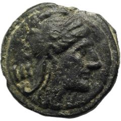 Tressis Anonymous