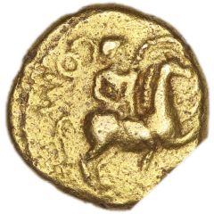 Gold 1/4 Stater - Verica Verica Rider Victory