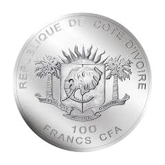 100 Francs CFA Rhino