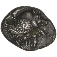 Drachm