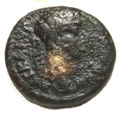 Æ25 - Commodus Gadara