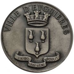 médaille ville d`Eyguieres inauguration du complexe sportif