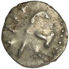 Silver Unit - Tincomarus Tincomarus Prancing Lion