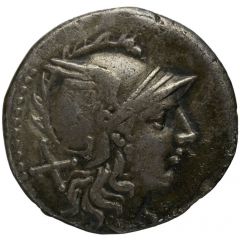 Denarius Anonymous, ROMA