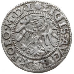 Szeląg gdański - Sigismund II Augustus Gdańsk mint