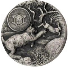 5000 Francs CFA Lynx