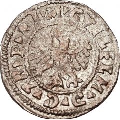 1 Schilling - Wilhelm von Brandenburg Koknese, large shield, with border