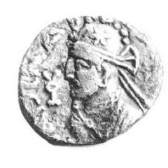Drachm - Sarpedonus - 12 BC-130 AD Province of Bannu