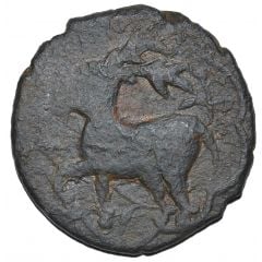 1/2 Bisti anonymous Deer
