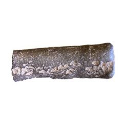 Gambar tin ingot currency