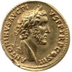 Aureus - Antoninus Pius and Marcus Aurelius AVRELIVS CAESAR AVG PII F COS