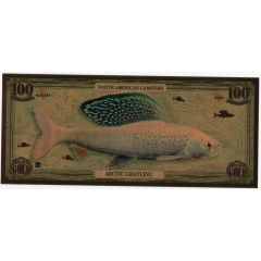 Arctic Grayling