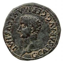 As - Caligula SCIPIONE ET MONTANO C C A II VIR