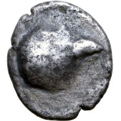 Obol Augentyp-Stamm Type