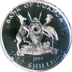 1000 Shillings Tiger