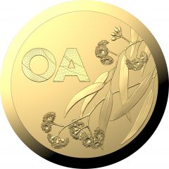 Medal - Virtus Oceania Asia Games Sporting Award