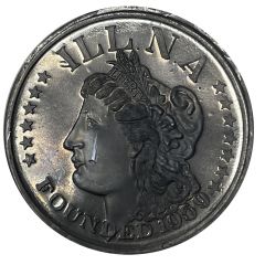 Illinois Numismatic Association Medal