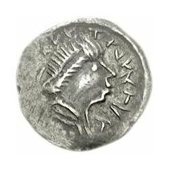 1/4 Siliqua Regular staurogram with round ends