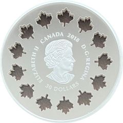 30 Dollars - Elizabeth II Evolving a Nation