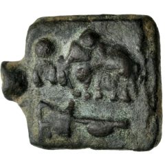Æ Unit - Anonymous Kausambi Elephant Types