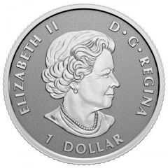 1 Dollar In the name of Elizabeth II, SML fractionnal set, 1/20 oz