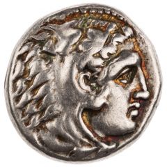 Drachm - Alexander III Sardis
