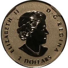 2 Dollars - Elizabeth II SML fractionnal set, 1⁄10 oz