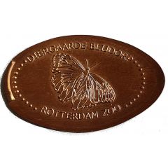 Blijdorp Zoo - Butterfly