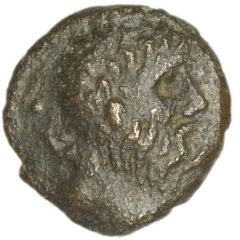 Bronze Unit - Tasciovanos Tasciovanos Seahorse Tas Type