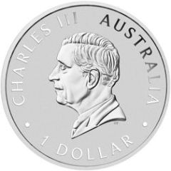 1 Dollar Charles III 1st Portrait - Wombat - Silver Bullion Coin