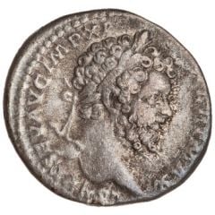 Denarius - Septimius Severus P M TR P VII COS II P P, Fortuna