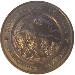 Medal - Phetchabun Province