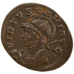 Antoninianus - Carus PAX AVG, Pax