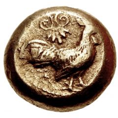 Stater