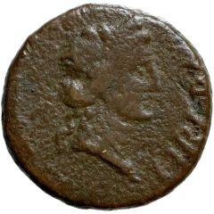 Æ15 HIPPONE