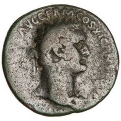 As - Domitian MONETA AVGVSTI S C, Moneta