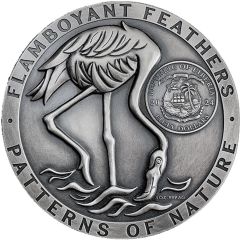 50 Dollars Flamingos - Flamboyant feathers