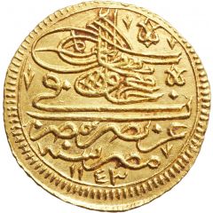 Zari Mahbub - Mahmud I