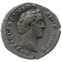 Denarius - Antoninus Pius AVG PIVS P M TR P COS II P P