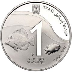 1 New Sheqel Coral reef - Eilat