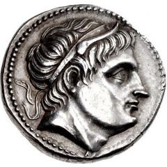 Tetradrachm - Demetrius I Poliorcetes Amphipolis