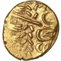Gold Stater North East Coast Sun Type