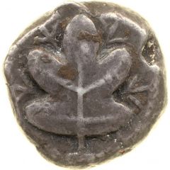 Stater
