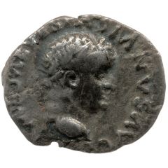 Denarius - Vespasian AVG