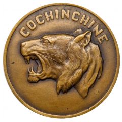 Médaille Cochinchine au tigre